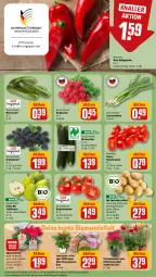 Gazetka promocyjna Rewe - Prospekte - Gazetka - ważna od 03.08 do 03.08.2024 - strona 7 - produkty: Alpenveilchen, beere, beeren, bio, Birnen, blume, blumen, brombeere, brombeeren, eis, erde, gurke, kartoffel, kartoffeln, Lauchzwiebel, lauchzwiebeln, paprika, radieschen, Rauch, rewe beste wahl, rispentomaten, Romatomaten, Schal, Schale, speisekartoffeln, Spitzpaprika, tafelbirnen, Ti, tisch, tomate, tomaten, topf, zucchini, zwiebel, zwiebeln