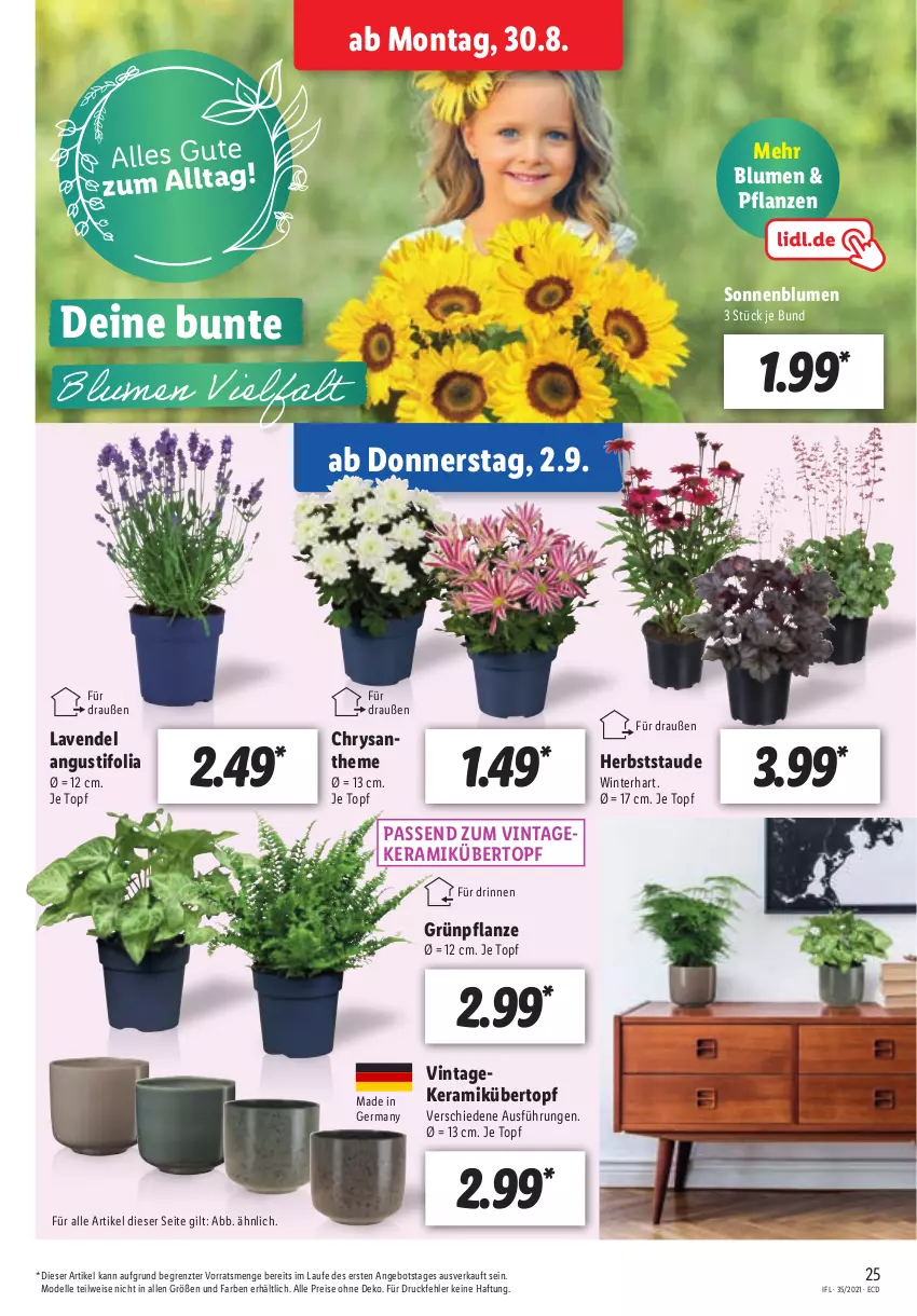 Aktueller Prospekt Lidl - Aktionsprospekt - von 30.08 bis 04.09.2021 - strona 25