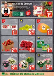 Gazetka promocyjna Edeka - Prospekte - Gazetka - ważna od 04.07 do 04.07.2026 - strona 6 - produkty: angebot, deka, eis, reis, rosen, tafeläpfel, tafeltrauben, Ti, topf, trauben, ZTE