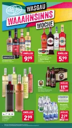 Gazetka promocyjna Wasgau - Gazetka - ważna od 09.08 do 09.08.2025 - strona 2 - produkty: alkohol, Alwa, angebot, bier, eis, flasche, martini, mineralwasser, mw-flasche, reis, Ti, Vermouth, wasser