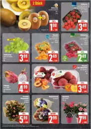 Gazetka promocyjna Edeka - Prospekte - Gazetka - ważna od 25.05 do 25.05.2024 - strona 5 - produkty: beere, beeren, deka, dip, dipladenia, eis, Elan, erdbeere, erdbeeren, LG, reis, tee, Ti, ZTE