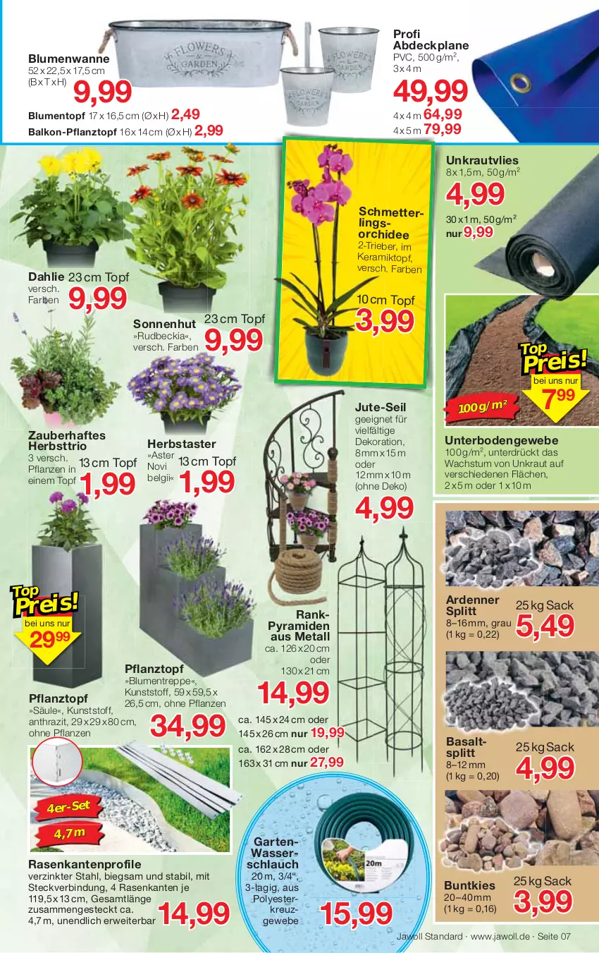 Aktueller Prospekt Jawoll - Prospekte - von 31.07 bis 06.08.2022 - strona 7 - produkty: abdeckplane, blume, blumen, Blumentreppe, dahlie, dekoration, Garten, Kraut, LG, Mett, orchidee, pflanze, pflanzen, Pflanztopf, rasen, rwe, sac, schlauch, Schmetterling, schmetterlingsorchidee, Ti, topf, Wanne, wasser, Wasserschlauch