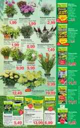 Gazetka promocyjna Jawoll - Prospekte - Gazetka - ważna od 06.08 do 06.08.2022 - strona 6 - produkty: auer, Bau, Bauer, berliner, blume, blumen, blumenerde, chia, dahlie, dünger, eimer, eis, elle, erde, flieder, Garten, Heu, hortensie, mac, Mett, pflanze, pflanzen, pflanzerde, rasen, rasendünger, rind, ritter, sac, Schmetterling, sim, Sport, stauden, Ti, topf