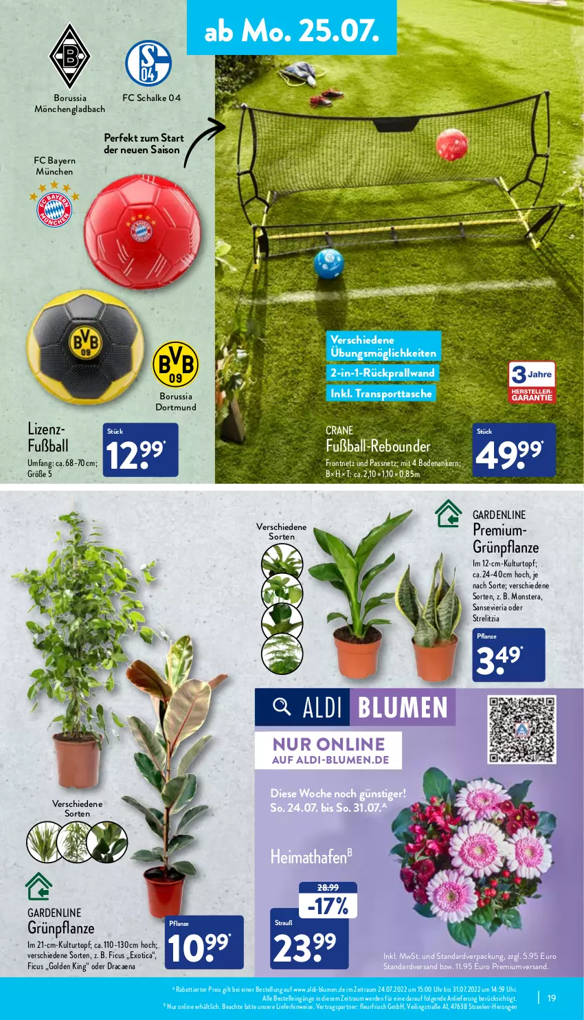 Aktueller Prospekt Aldi Nord - Aldi-Aktuell - von 25.07 bis 30.07.2022 - strona 19 - produkty: aldi, ball, blume, blumen, Blüte, Brei, eis, elle, erde, Ficus, Fußball, hero, kulturtopf, LG, monster, Monstera, pflanze, reis, rel, Ria, Schal, Sport, sporttasche, Tasche, Ti, topf, uhr