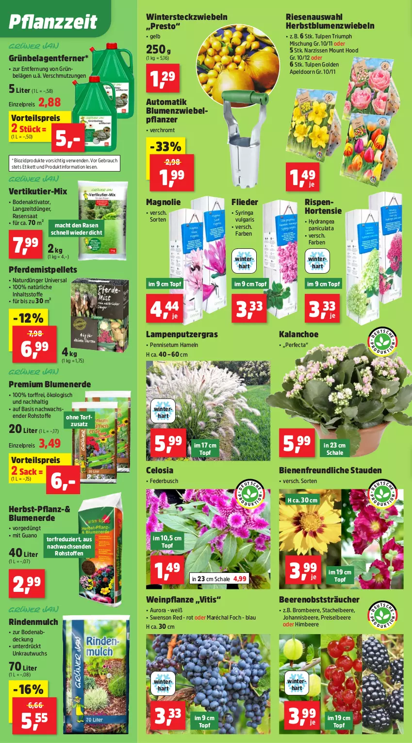 Aktueller Prospekt Thomas Philipps - von 18.08 bis 23.08.2025 - strona 2 - produkty: auto, beere, beeren, bio, biozidprodukte, blume, blumen, blumenerde, brombeere, dünger, eis, elle, erde, flieder, himbeer, himbeere, hortensie, hydrangea, Hydrangea paniculata, johannisbeere, Kalanchoe, Kraut, Lampe, LG, mac, Narzissen, natur, obst, Pellets, pflanze, rasen, Rauch, reis, rind, rindenmulch, ring, rwe, sac, Schal, Schale, stauden, Ti, topf, triumph, vorteilspreis, wein, zwiebel, zwiebeln