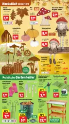 Gazetka promocyjna Thomas Philipps - Gazetka - ważna od 23.08 do 23.08.2025 - strona 3 - produkty: Behälter, blume, blumen, dell, edelstahl, elle, Garten, Girlande, handschuhe, hocker, Holz, Kantenhocker, Kürbis, latte, leine, Mode, pflanze, pflanzen, pilze, Ria, Schere, schuhe, Teleskop, Ti, tisch, topf, Topfen, Wichtel