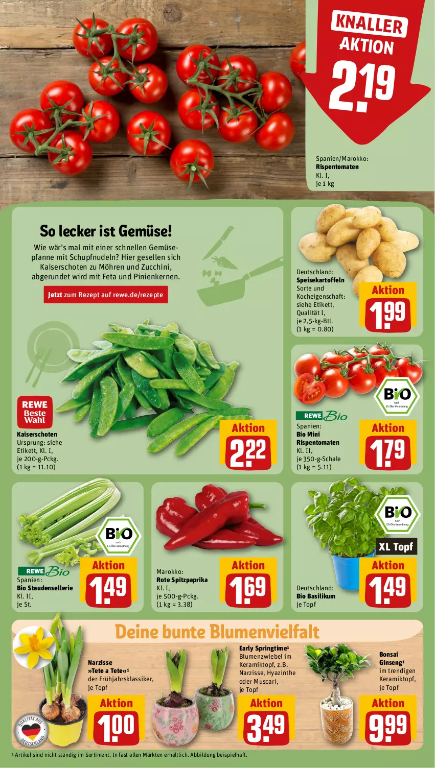 Aktueller Prospekt Rewe - Prospekte - von 29.01 bis 03.02.2024 - strona 5 - produkty: basilikum, bio, blume, blumen, eis, elle, feta, gin, Kaiser, kartoffel, kartoffeln, möhren, nudel, nudeln, paprika, pfanne, pinienkerne, rezept, rezepte, ring, rispentomaten, Schal, Schale, speisekartoffeln, Spitzpaprika, stauden, Ti, tomate, tomaten, topf, zucchini, zwiebel