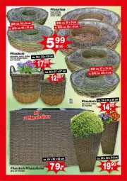Gazetka promocyjna - Prospekte - Gazetka - ważna od 22.03 do 22.03.2025 - strona 4 - produkty: creme, elle, korb, teller, Ti
