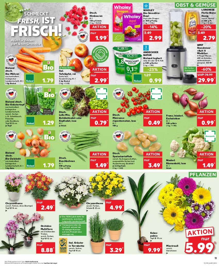 Aktueller Prospekt Kaufland - Prospekt - von 31.08 bis 06.09.2023 - strona 11 - produkty: andechser natur, angebot, angebote, basilikum, Becher, beere, beeren, Behälter, beutel, bio, bioland, blume, blumen, blumenkohl, bohne, bohnen, Buschbohnen, decke, Deckel, Eichblattsalat, eis, himbeer, himbeere, himbeeren, honig, joghur, joghurt, kartoffel, kartoffeln, kokos, kopfsalat, kräuter, langnese, messer, Mixer, möhren, natur, obst, orchidee, petersilie, pflanze, pflanzen, Ria, rispentomaten, sac, salat, Schal, Schale, Schalotte, schnittlauch, smoothie, speisekartoffeln, spülmaschinen, standmixer, tafeläpfel, Ti, tomate, tomaten, topf, topf ø 12 cm, trolli, übertopf, WMF, zwiebel, zwiebeln