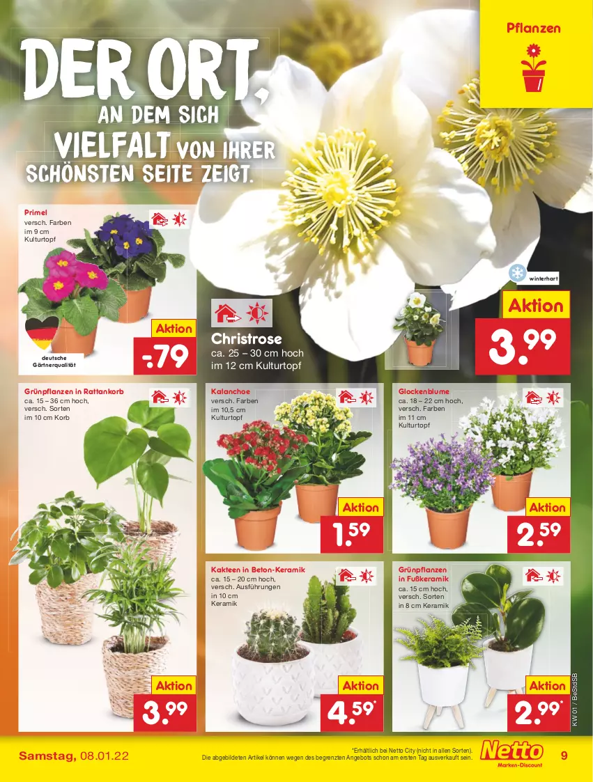 Aktueller Prospekt Netto Marken-Discount - Filial Angebote - von 03.01 bis 08.01.2022 - strona 9 - produkty: angebot, blume, Grünpflanzen, Kaktee, Kalanchoe, korb, kulturtopf, pflanze, pflanzen, tee, Ti, topf, ZTE