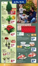 Gazetka promocyjna Aldi Nord - Von Montag - Gazetka - ważna od 16.12 do 16.12.2023 - strona 20 - produkty: asti, Bau, baumwolle, bett, Blüte, Brei, eis, elle, Geschenkpapier, gin, Holz, kulturtopf, papier, perlen, pflanze, phalaenopsis, Ria, rwe, tee, Ti, topf, übertopf, wasser, Weihnachtsstern, wolle, ZTE, zucker