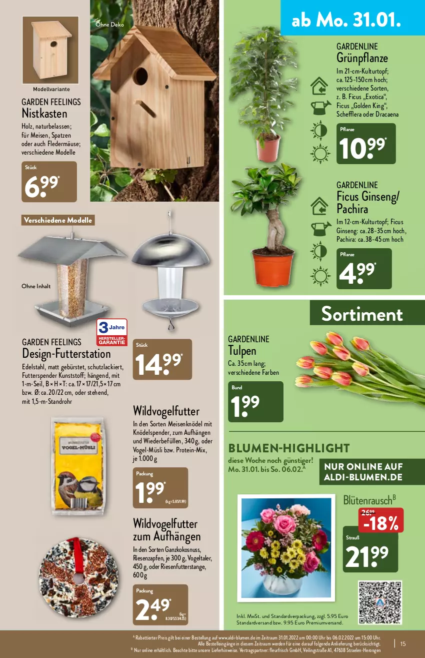 Aktueller Prospekt Aldi Nord - Aldi-Aktuell - von 31.01 bis 05.02.2022 - strona 15 - produkty: aldi, blume, blumen, Blüte, Brei, bürste, dell, edelstahl, eis, elle, erde, Ficus, garden feelings, gin, hero, Holz, Knödel, kokos, kokosnuss, kulturtopf, lack, LG, Meisenknödel, Mode, müsli, natur, nuss, Pachira, pflanze, reis, Ria, senf, Ti, topf, uhr, Vogelfutter, Wild, ZTE