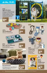 Gazetka promocyjna Aldi Nord - Aldi-Aktuell - Gazetka - ważna od 05.02 do 05.02.2022 - strona 14 - produkty: aust, Bau, baumwolle, dell, elle, gin, Holz, Körbchen, lack, leine, Mode, Ria, rind, ring, spielzeug, Stier, Ti, wolle, ZTE