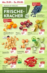 Gazetka promocyjna Aldi Nord - Aldi-Aktuell - Gazetka - ważna od 05.02 do 05.02.2022 - strona 2 - produkty: aldi, angebot, beere, beeren, beutel, Birnen, clementinen, eis, elle, Gemüsezwiebel, gin, heidelbeere, heidelbeeren, kartoffel, kartoffeln, kohlrabi, kracher, LG, mandarine, mandarinen, mehl, paprika, paprika rot, pflaume, pflaumen, reis, Schal, Schale, speisekartoffeln, Spitzpaprika, Süßkartoffeln, tafelbirnen, Ti, ZTE, zwiebel, zwiebeln