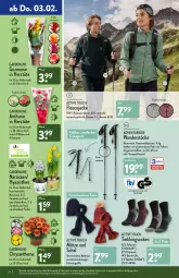 Gazetka promocyjna Aldi Nord - Aldi-Aktuell - Gazetka - ważna od 05.02 do 05.02.2022 - strona 24 - produkty: active touch, Bau, baumwolle, beutel, Blüte, Brei, elle, Fleecejacke, gin, Jacke, kulturtopf, LG, Mütze, Narzissen, pflanze, Ria, Schal, socken, Sport, teller, Ti, topf, Tüte, wolle, ZTE, zwiebel, zwiebeln