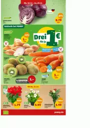 Gazetka promocyjna Penny - Prospekte - Gazetka - ważna od 23.12 do 23.12.2023 - strona 3 - produkty: Alpenveilchen, topf