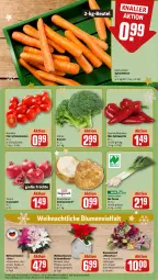 Gazetka promocyjna Rewe - Prospekte - Gazetka - ważna od 16.12 do 16.12.2023 - strona 9 - produkty: apfel, beutel, bio, blume, blumen, Blumenstrauß, broccoli, eis, elle, früchte, grana, granatapfel, möhren, paprika, pflanze, Rana, Romatomaten, Schal, Schale, speisemöhren, Spitzpaprika, tee, Teelicht, Ti, tomate, tomaten, topf, Weihnachtsstern