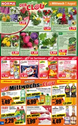 Gazetka promocyjna Norma - Norma - Gazetka - ważna od 12.08 do 12.08.2024 - strona 14 - produkty: apfel, banane, bananen, Blaubeer, bolognese, Brei, chia, chrysanthemen, croutons, dahlie, dünger, erdnuss, erfrischungsgetränk, flasche, frucht, fruchtsaft, fruchtsaftgetränk, fructis, Garten, geschirr, geschirrspülmittel, getränk, gin, hama, Happy Day, jumbo, kartoffel, kartoffelbrei, Käse, kraft, kulturtopf, leine, liqueur, mac, mandel, mango, maracuja, messer, milch, mit röstzwiebeln, monster, Monstera, natur, nudel, nudeln, nuss, orange, pflanze, pflanzen, riegel, rind, röstzwiebeln, rum, rwe, saft, sahne, sauce, schoko, schokolade, schokoladen, schokoriegel, shampoo, sim, spülmittel, stauden, Ti, topf, Trinkhalme, übertopf, vanille, vita, WICK, Yo, zwiebel, zwiebeln