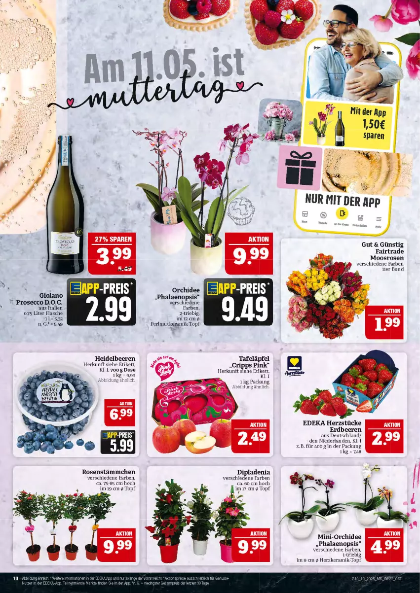 Aktueller Prospekt Marktkauf - Prospekt - von 04.05 bis 10.05.2025 - strona 10 - produkty: beere, beeren, deka, dip, dipladenia, ecco, eis, erdbeere, erdbeeren, flasche, gin, heidelbeere, heidelbeeren, orchidee, phalaenopsis, prosecco, reis, rosen, tafeläpfel, Ti, topf