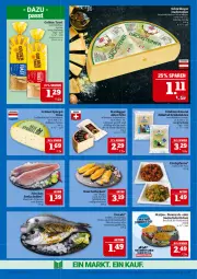 Gazetka promocyjna Marktkauf - Prospekt - Gazetka - ważna od 10.05 do 10.05.2025 - strona 17 - produkty: bismarck, braten, brötchen, Dorade, Egger, eis, filet, fisch, fleisch, frischfisch, fritz, golden toast, grill, grüner spargel, holländischer schnittkäse, HP, Käse, lachs, lachsfilet, mac, matjes, natur, österreichischer schnittkäse, pfanne, reis, Schärdinger, schnittkäse, schweizer schnittkäse, seelachsfilet, spargel, steiner, Ti, Tilapia, tisch, toast, ZTE