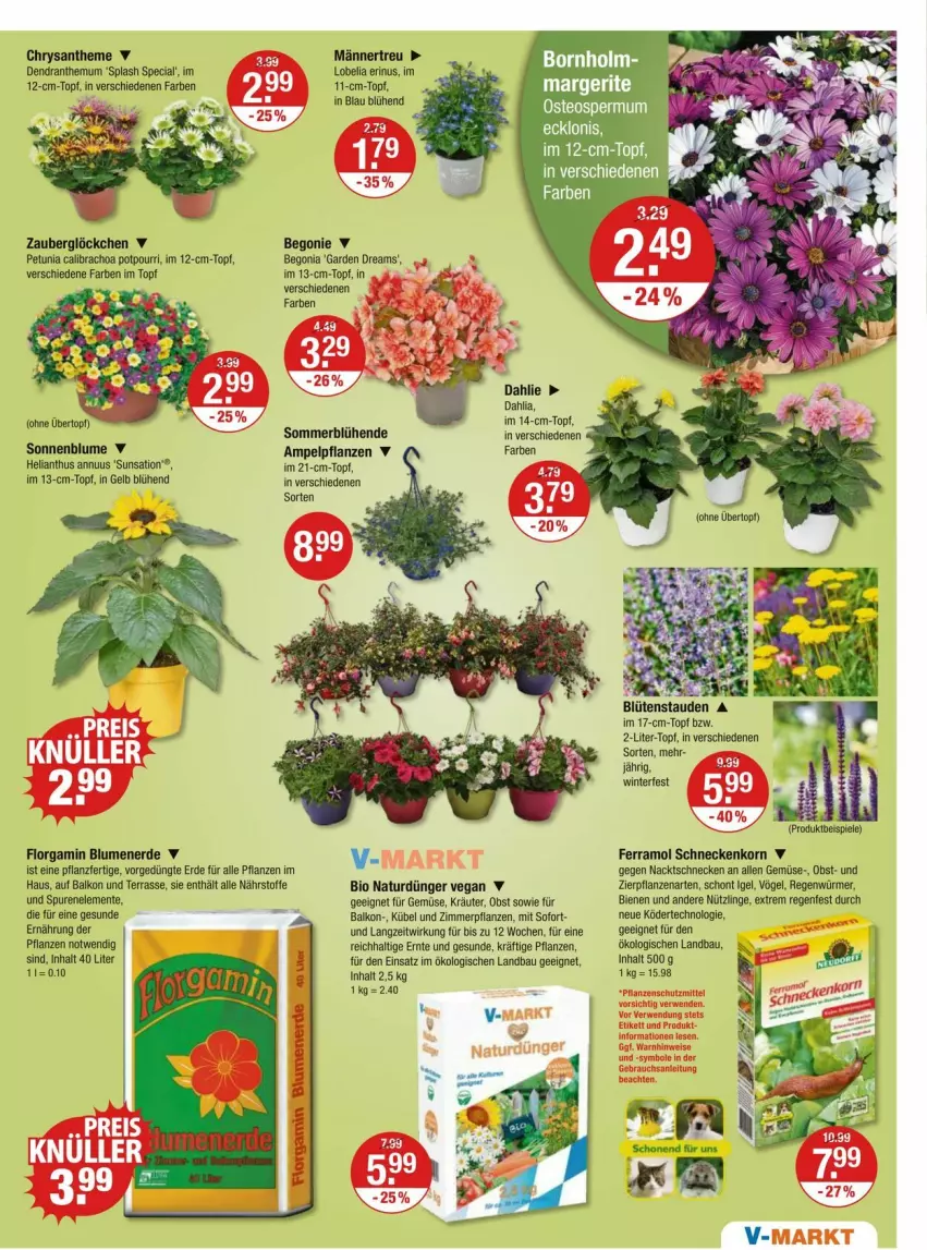 Aktueller Prospekt Vmarkt - Prospekte - von 10.05 bis 15.05.2024 - strona 15 - produkty: Bau, Begonia, Begonie, bio, blume, blumen, blumenerde, calibrachoa, dahlie, dünger, eis, ente, erde, ferramol schneckenkorn, korn, kräuter, natur, obst, pflanze, pflanzen, Potpourri, schneckenkorn, sonnenblume, Spiele, Ti, topf, zauberglöckchen