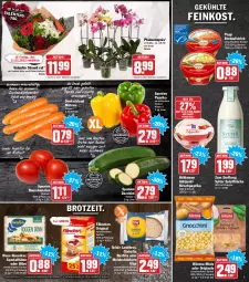 Gazetka promocyjna Hit - Prospekte - Gazetka - ważna od 12.02 do 12.02.2022 - strona 3 - produkty: antipasti, asti, aufstrich, Becher, bites, braten, brot, brotaufstrich, ciabatta, eis, elle, feinkost, flasche, gin, grill, hilcona, HP, kirsch, kühlmann, mac, Meister, möhren, nuss, paprika, phalaenopsis, Popp, reis, rel, Romatomaten, rwe, salat, Schal, Schale, snack, Spezi, Sylter, teller, tender, Ti, tomate, tomaten, tücher, vita, wasa, zucchini, Zum Dorfkrug