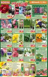 Gazetka promocyjna Norma - Norma - Gazetka - ważna od 20.03 do 20.03.2023 - strona 12 - produkty: asus, aust, Bau, Blüte, brie, cin, curry, eimer, eis, fanta, fritz, Garten, gewürz, hortensie, Kette, kirsch, kissen, Knödel, Kraut, kräuter, kulturtopf, LG, maggi, mandel, meerrettich, mehl, milch, minze, Narzissen, orange, Passiflora, pflanze, pflanzen, rasen, Rettich, rosen, rosmarin, Schal, Schale, sekt, spargel, Sport, stauden, Ti, tisch, topf, übertopf, vita, Yo, zitrone, zitronen, zwiebel, zwiebeln