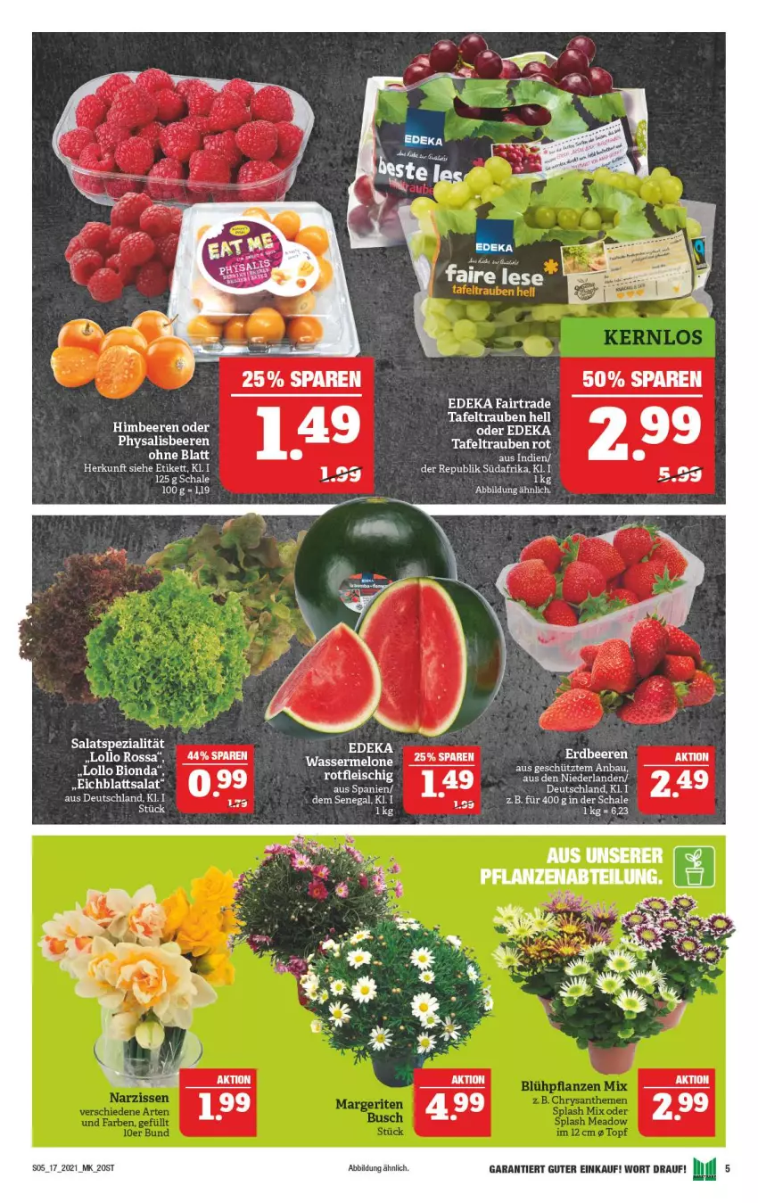 Aktueller Prospekt Marktkauf - Prospekt - von 25.04 bis 30.04.2021 - strona 5 - produkty: beere, beeren, bio, deka, Eichblattsalat, erdbeere, erdbeeren, Physalis, salat, Schal, Schale, Spezi, tafeltrauben, Ti, trauben