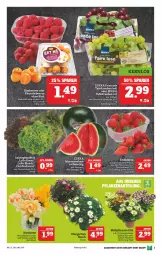 Gazetka promocyjna Marktkauf - Prospekt - Gazetka - ważna od 30.04 do 30.04.2021 - strona 5 - produkty: beere, beeren, bio, deka, Eichblattsalat, erdbeere, erdbeeren, Physalis, salat, Schal, Schale, Spezi, tafeltrauben, Ti, trauben