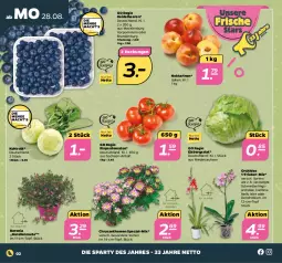 Gazetka promocyjna Netto - Woche 35 - Gazetka - ważna od 02.09 do 02.09.2023 - strona 2 - produkty: beere, beeren, chrysanthemen, eis, eisbergsalat, heidelbeere, heidelbeeren, kohlrabi, Mett, Nektar, nektarinen, orchidee, Ria, rispentomaten, sac, salat, Schmetterling, schmetterlingsorchidee, Spezi, Ti, tomate, tomaten, topf