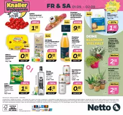 Gazetka promocyjna Netto - Woche 35 - Gazetka - ważna od 02.09 do 02.09.2023 - strona 32 - produkty: alkohol, alle artikel ohne dekoration, aloe vera, angebot, apfel, apfelsaft, blume, blumen, bugles, cherrytomaten, dekoration, eis, elle, emmentaler, filet, Grünpflanzen, korb, krombache, krombacher, krombacher pils, kühlregal, mais, Mantel, margarine, milch, natur, paprika, pflanze, pflanzen, pils, premium vodka, regal, reis, rosmarin, saft, schwein, schweine, schweinefilet, snack, sonnenblume, sonnenblumen, Speck, Ti, tomate, tomaten, topf, vodka, weidemilch, wein, weine, Yo