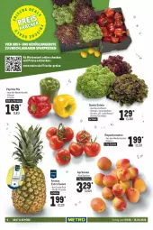 Gazetka promocyjna Metro - Food - Gazetka - ważna od 15.06 do 15.06.2022 - strona 6 - produkty: ananas, angebot, angebote, aprikose, aprikosen, bio, bunte salate, decke, eis, früchte, Metro, obst, paprika, paprika mix, reis, rispentomaten, salat, salate, Schal, Schale, Ti, tomate, tomaten, und gemüse