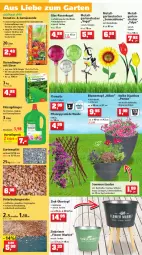 Gazetka promocyjna Thomas Philipps - Prospektwerbung - Gazetka - ważna od 25.06 do 25.06.2022 - strona 4 - produkty: akku, arla, beleuchtung, blume, blumen, Blüte, brause, cosmea, dünger, eier, eimer, eis, ente, erde, flüssigdünger, Garten, Gartenpflanze, Gemüseerde, Gießkanne, Holz, Kraut, Kugel, Lampe, leds, LG, Mantel, messer, oreo, paprika, pflanze, pflanzen, rasen, rasendünger, reis, Ria, rosen, Schal, Schale, solarlampe, sonnenblume, Spezi, stauden, Ti, Tiere, tisch, tomate, tomaten, topf, übertopf, vorteilspreis