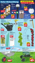 Gazetka promocyjna Thomas Philipps - Prospektwerbung - Gazetka - ważna od 25.06 do 25.06.2022 - strona 5 - produkty: akku, arla, beleuchtung, blume, blumen, Blüte, brause, cosmea, dünger, eier, eimer, eis, ente, erde, flüssigdünger, Garten, Gartenpflanze, Gemüseerde, Gießkanne, Holz, Kraut, Kugel, Lampe, leds, LG, Mantel, messer, oreo, paprika, pflanze, pflanzen, rasen, rasendünger, reis, Ria, rosen, Schal, Schale, solarlampe, sonnenblume, Spezi, stauden, Ti, Tiere, tisch, tomate, tomaten, topf, übertopf, vorteilspreis