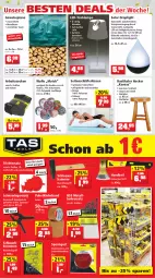 Gazetka promocyjna Thomas Philipps - Prospektwerbung - Gazetka - ważna od 25.06 do 25.06.2022 - strona 9 - produkty: akku, Arbeitssocken, ball, batterie, batterien, Bau, Beba, bio, biozidprodukte, blume, blumen, blumenerde, braun, decke, Deckel, eis, erde, Fußball, Gewebeplane, hocker, Holz, Kinder, kissen, koffer, kraft, lack, Lampe, Liege, Rauch, regal, reiniger, Reinigung, Reinigungsmittel, reis, rwe, sac, Schal, Scheibenreiniger, schlauch, schwerlastregal, sekt, Sitzhöhe, socken, Ti, tisch, tischdecke, Tischlampe, vorteilspreis, wasser, werkzeug, wolle