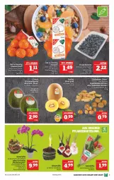 Gazetka promocyjna Marktkauf - Prospekt - Gazetka - ważna od 18.12 do 18.12.2021 - strona 5 - produkty: avocado, beere, beeren, erdnüsse, heidelbeere, heidelbeeren, Schal, Schale, Ti