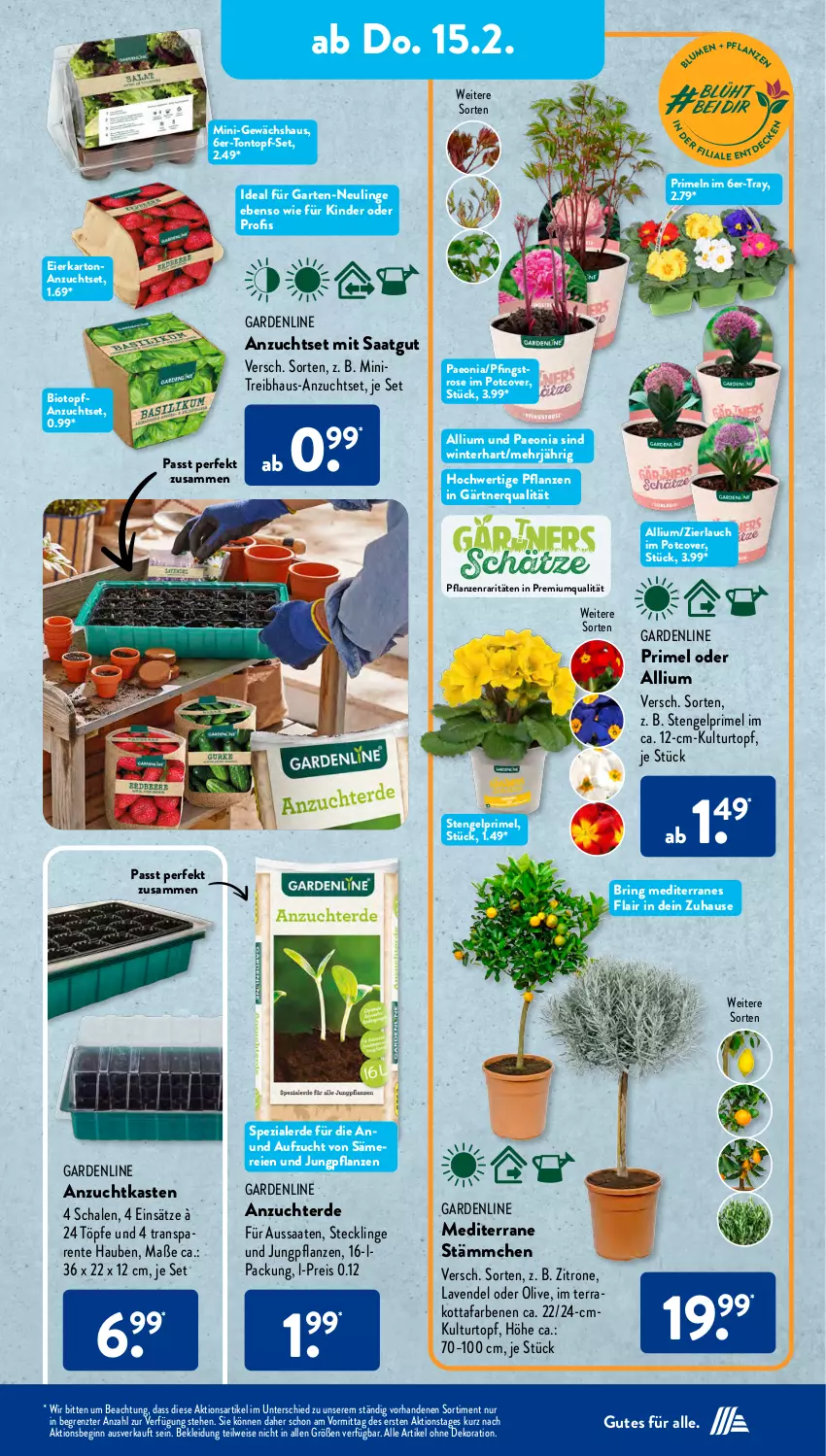 Aktueller Prospekt AldiSud - NÄCHSTE WOCHE - von 12.02 bis 17.02.2024 - strona 24 - produkty: alle artikel ohne dekoration, bio, dekoration, eier, eis, Engel, ente, erde, Garten, Gewächshaus, gin, Kinder, kleid, Kleidung, kulturtopf, lavendel, olive, pflanze, pflanzen, Primeln, reis, ring, Schal, Schale, Spezi, Ti, topf, topf-set, zitrone, ZTE