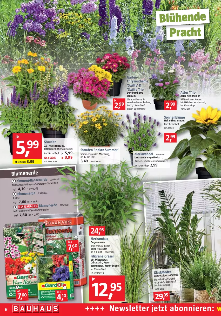 Aktueller Prospekt Bauhaus - Prospekte - von 30.07 bis 03.09.2022 - strona 7 - produkty: bambus, blume, blumen, blumenerde, Blüte, dünger, ente, erde, Garten, Läufer, lavendel, pflanze, pflanzen, ritter, sekt, sonnenblume, stauden, Ti, topf, übertopf