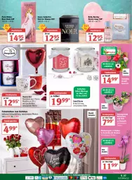 Gazetka promocyjna Globus - Prospekte - Gazetka - ważna od 12.02 do 12.02.2022 - strona 27 - produkty: angebot, angebotspreis, ball, bett, dell, eis, Geschenkbox, Kalanchoe, kerze, LG, Mode, Ohrringe, phalaenopsis, reis, ring, sonderposten, Spiele, tasse, Ti, Tiere, topf