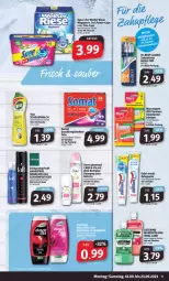 Gazetka promocyjna Markant - Prospekte - Gazetka - ważna od 23.09 do 23.09.2023 - strona 11 - produkty: arla, bürste, bürsten, Cap, deo, deospray, dove, Dr. Best, erde, flasche, geschirr, geschirrspülmittel, Haarlack, haarspray, Heu, lack, listerine, megaperls, milch, oder schaumfestiger, Odol, roll-on, schaumfestiger, scheuermilch, schwarzkop, schwarzkopf, somat, spee, spülmittel, Taft, Ti, total care, zahnbürste