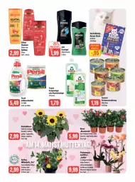 Gazetka promocyjna Feneberg - Prospekte - Gazetka - ważna od 13.05 do 13.05.2023 - strona 11 - produkty: axe, axe duschgel, blume, discount, duschgel, eis, elle, elvital, essig, flasche, Frosch, LG, lion, Nassnahrung, orchidee, persil, phalaenopsis, reiniger, reis, rosen, shampoo, sonnenblume, spülung, Surf, Ti, topf, vita, vollwaschmittel, waschmittel, wasser