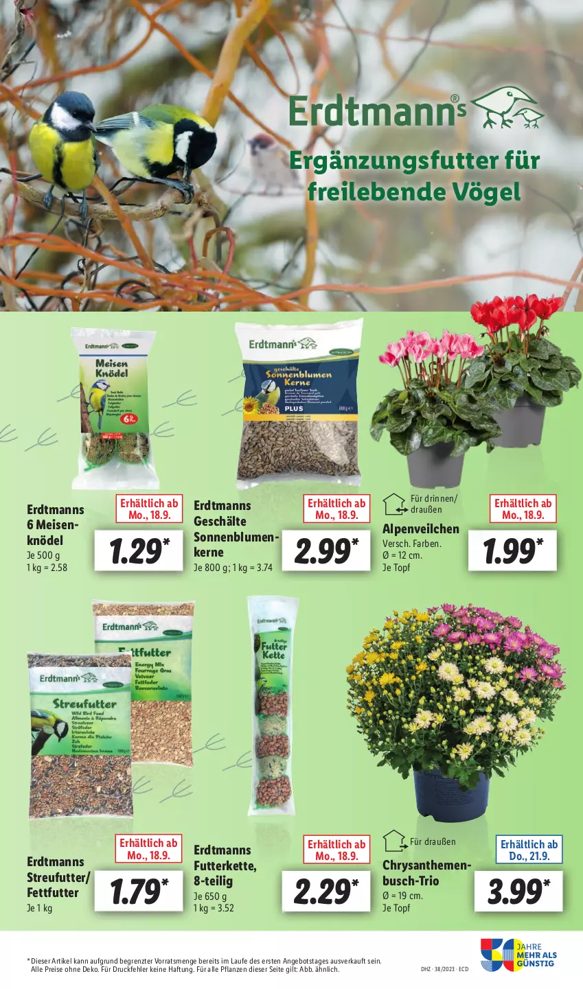 Aktueller Prospekt Lidl - Aktionsprospekt - von 18.09 bis 23.09.2023 - strona 63 - produkty: Alpenveilchen, angebot, blume, blumen, chrysanthemen, eis, Kette, Knödel, Meisenknödel, pflanze, pflanzen, reis, sonnenblume, sonnenblumen, Sonnenblumenkerne, Streufutter, Ti, topf, ZTE