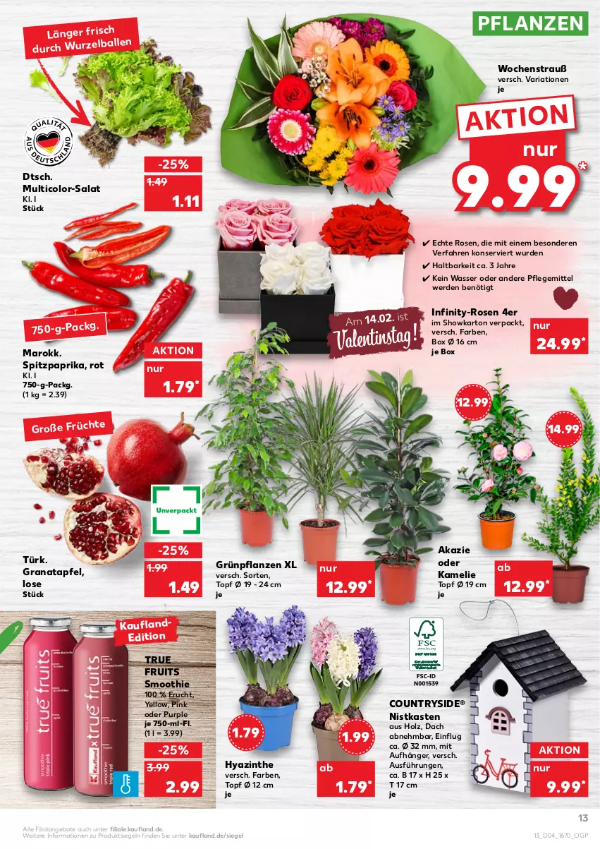 Aktueller Prospekt Kaufland - von 27.01 bis 02.02.2022 - strona 13 - produkty: angebot, angebote, apfel, ball, erde, frucht, grana, granatapfel, Grünpflanzen, Holz, paprika, pflanze, pflanzen, Rana, Ria, rosen, salat, smoothie, Spitzpaprika, Ti, topf, topf ø 12 cm, true fruits, wasser