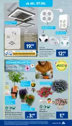 Gazetka promocyjna AldiSud - NÄCHSTE WOCHE - Gazetka - ważna od 10.06 do 10.06.2023 - strona 26 - produkty: adapter, aldi, alle artikel ohne dekoration, beleuchtung, decke, deckenleuchte, dekoration, dell, eis, elle, Garten, gin, hortensie, hortensien, HP, kleid, Kleidung, Kugel, kulturtopf, Leuchte, leuchten, minze, Mode, pflanze, stauden, steckdose, Ti, topf, usb, zauberglöckchen, ZTE