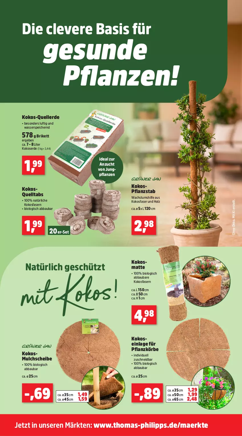 Aktueller Prospekt Thomas Philipps - von 04.05 bis 09.05.2026 - strona 8 - produkty: Abba, Bau, bio, elle, erde, Holz, kokos, pflanze, pflanzen, Ti, wasser