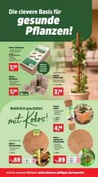 Gazetka promocyjna Thomas Philipps - Gazetka - ważna od 09.05 do 09.05.2026 - strona 8 - produkty: Abba, Bau, bio, elle, erde, Holz, kokos, pflanze, pflanzen, Ti, wasser