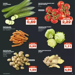 Gazetka promocyjna Real - Gazetka - ważna od 19.11 do 19.11.2022 - strona 7 - produkty: beutel, eis, eisbergsalat, gurke, gurken, ingwer, kartoffel, kartoffeln, möhren, reis, rispentomaten, salat, Salatgurke, salatgurken, speisekartoffeln, speisemöhren, Ti, tomate, tomaten