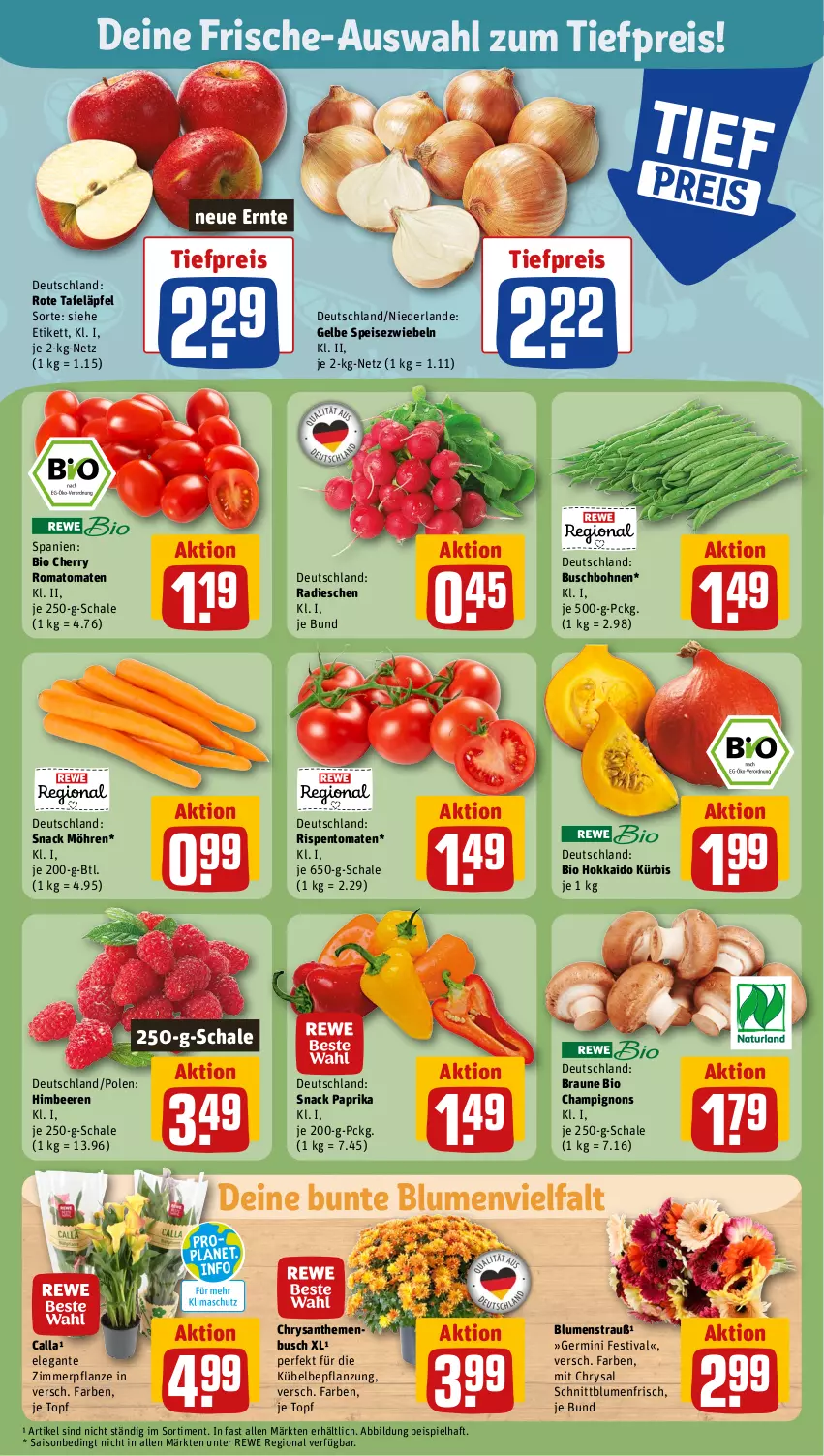 Aktueller Prospekt Rewe - Prospekte - von 11.09 bis 16.09.2023 - strona 5 - produkty: beere, beeren, bio, blume, blumen, Blumenstrauß, bohne, bohnen, braun, Buschbohnen, champignon, champignons, chrysanthemen, eis, Germ, himbeer, himbeere, himbeeren, Kürbis, möhren, paprika, pflanze, radieschen, reis, rispentomaten, Romatomaten, rote tafeläpfel, Schal, Schale, snack, Speisezwiebeln, tafeläpfel, Ti, tiefpreis, tomate, tomaten, topf, zwiebel, zwiebeln