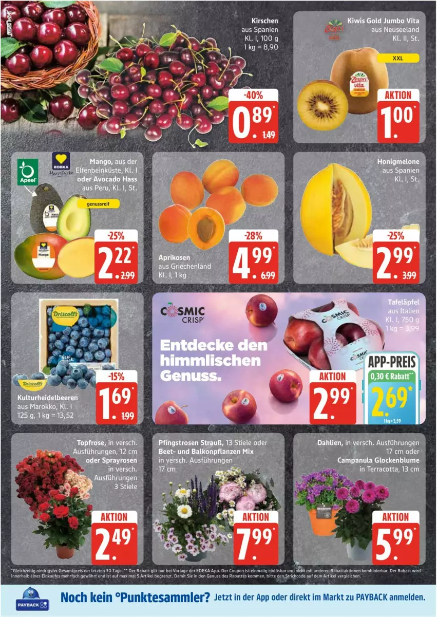 Aktueller Prospekt Edeka - Prospekte - von 02.06 bis 07.06.2025 - strona 6 - produkty: balkonpflanzen, blume, Campanula, coupon, dahlie, deka, eis, Elan, nuss, payback, pflanze, pflanzen, reis, rosen, tesa, Ti, ZTE