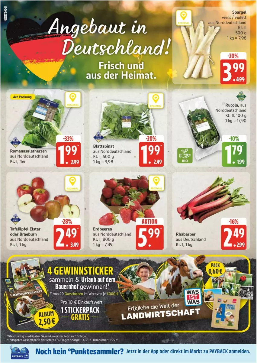 Aktueller Prospekt Edeka - Prospekte - von 02.06 bis 07.06.2025 - strona 8 - produkty: auer, Bau, Bauer, beere, beeren, blattspinat, cola, eis, erdbeere, erdbeeren, payback, reis, rel, rhabarber, Romanasalat, rucola, salat, salatherzen, spargel, spinat, tafeläpfel, tee, tesa, Ti, ZTE